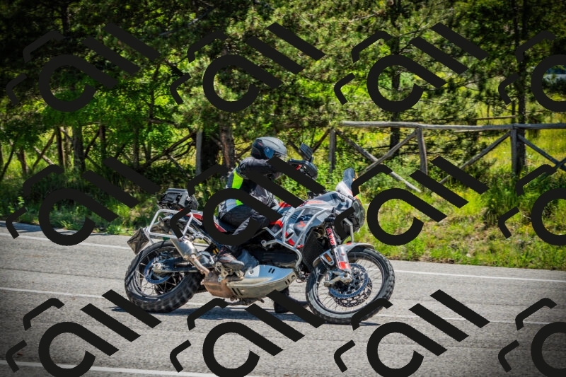 202506021137-DSC03770_c1_