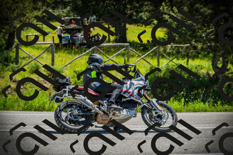 202506021137-DSC03771_c1_