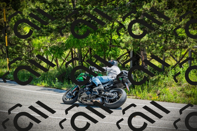 202506021137-DSC03775_c1_