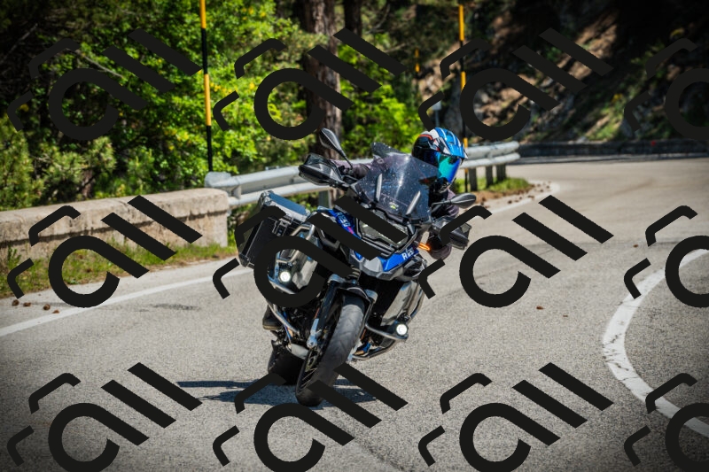 202506021137-DSC03777_c1_