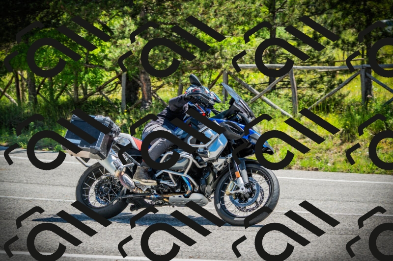 202506021137-DSC03778_c1_