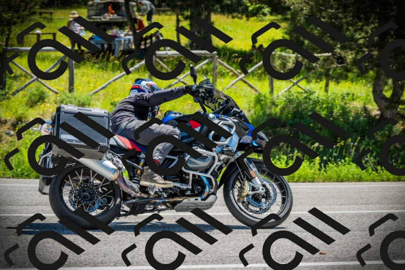 202506021137-DSC03779_c1_