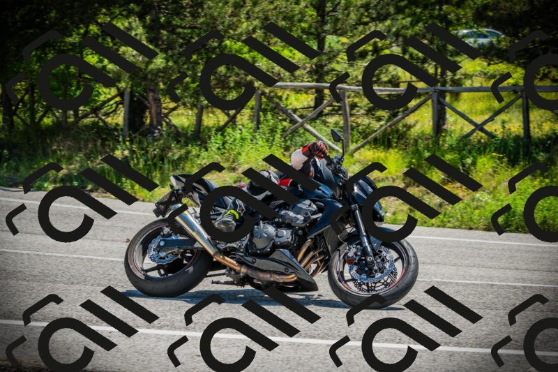 202506021137-DSC03785_c1_