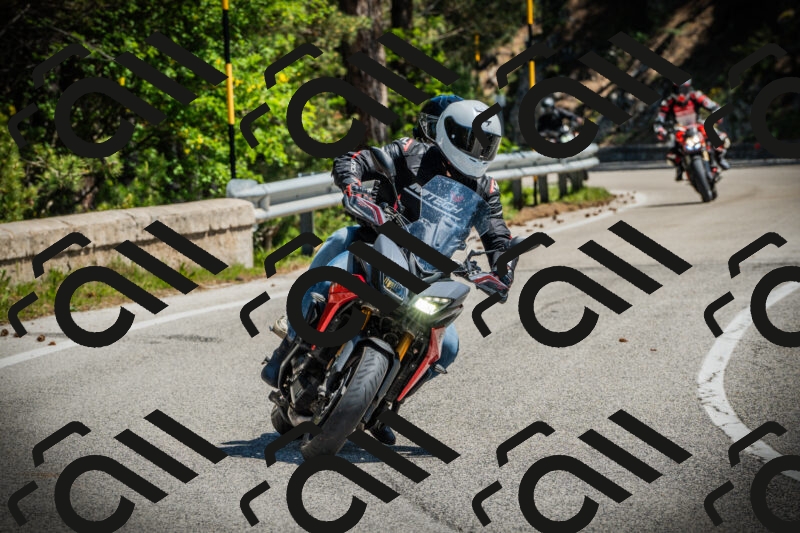 202506021137-DSC03787_c1_