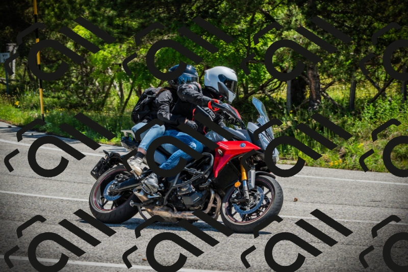 202506021137-DSC03788_c1_