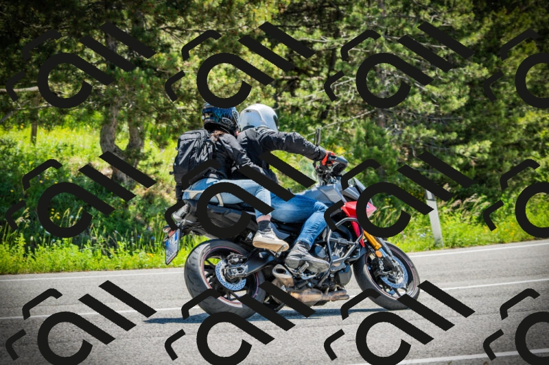 202506021137-DSC03790_c1_