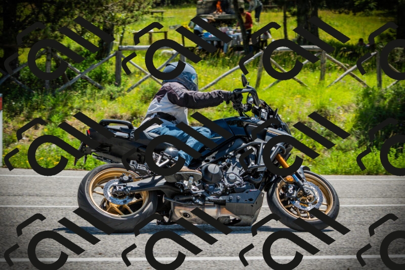 202506021137-DSC03794_c1_