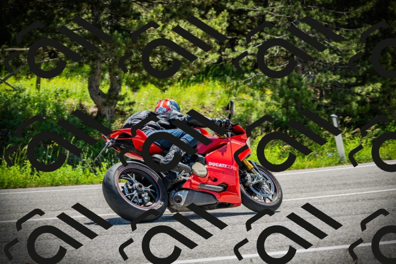 202506021138-DSC03800_c1_