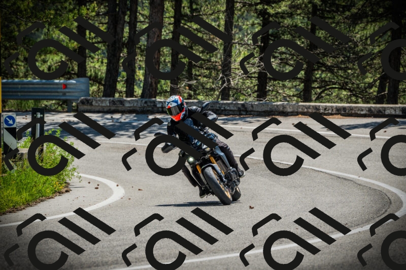 202506021139-DSC03801_c1_