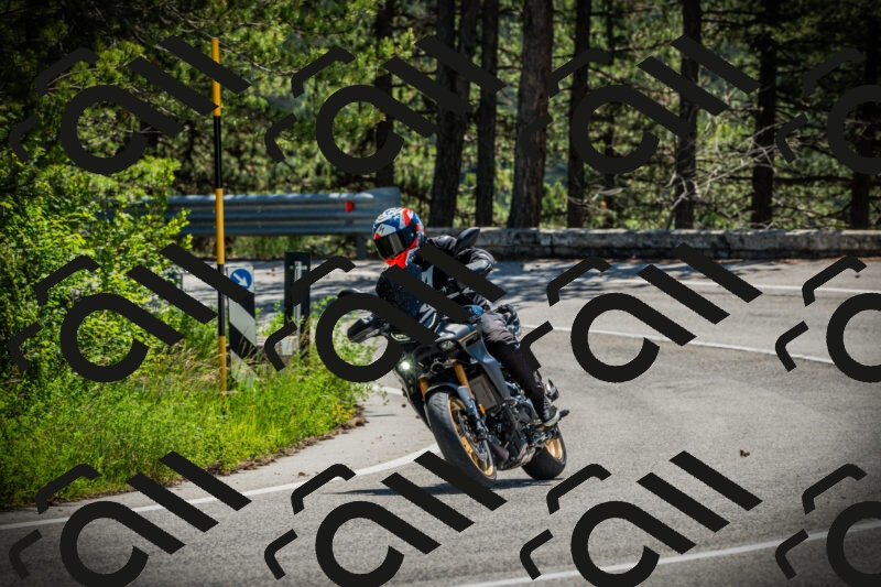 202506021139-DSC03802_c1_