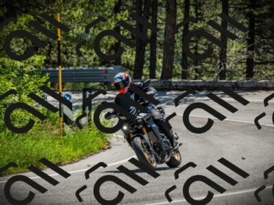 202506021139-DSC03802_c1_