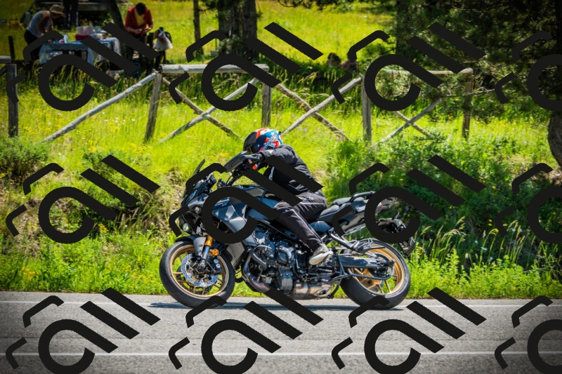 202506021139-DSC03803_c1_