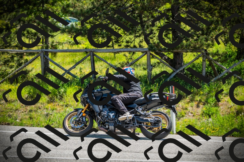 202506021139-DSC03804_c1_