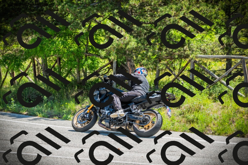 202506021139-DSC03805_c1_