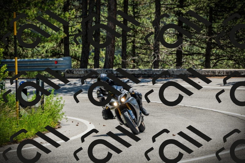 202506021139-DSC03810_c1_