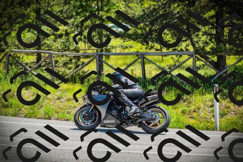 202506021139-DSC03813_c1_