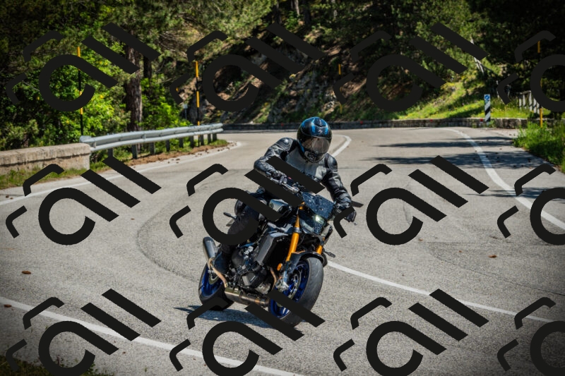 202506021139-DSC03815_c1_