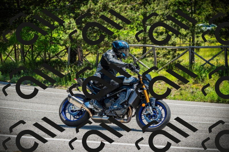 202506021139-DSC03816_c1_