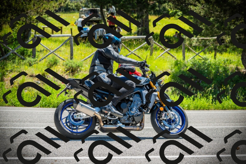 202506021139-DSC03817_c1_