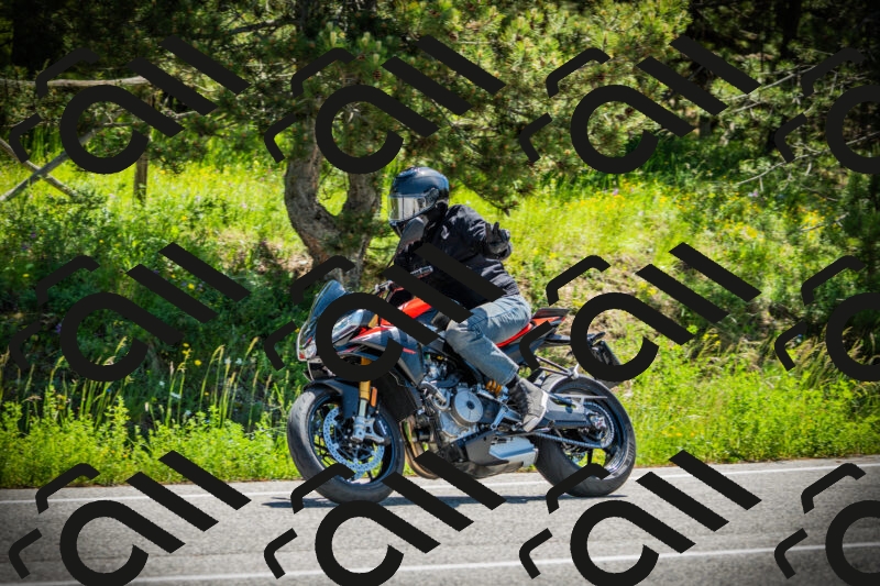 202506021140-DSC03822_c1_