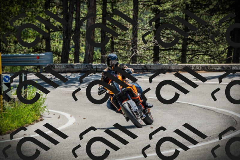 202506021140-DSC03826_c1_