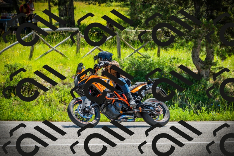 202506021140-DSC03827_c1_