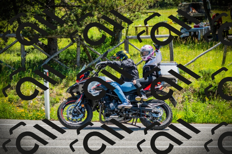 202506021140-DSC03831_c1_