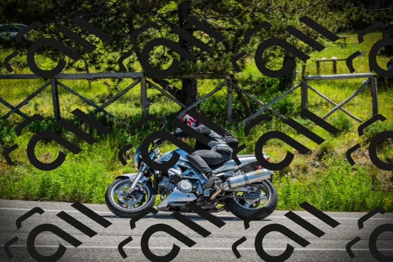 202506021140-DSC03835_c1_