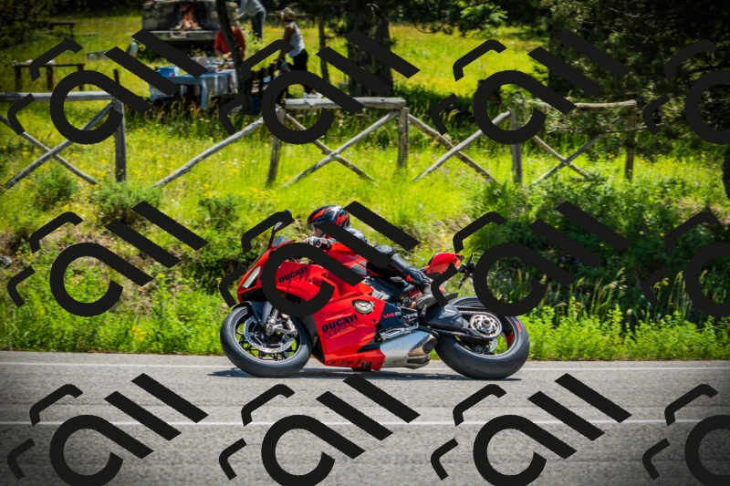 202506021141-DSC03845_c1_