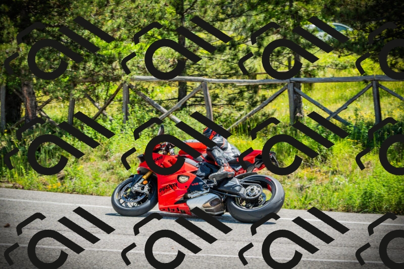 202506021141-DSC03846_c1_