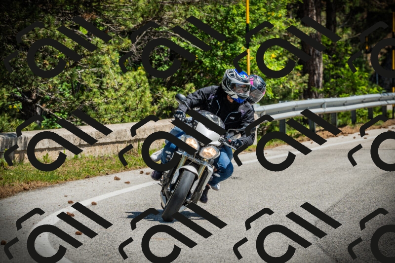 202506021141-DSC03848_c1_