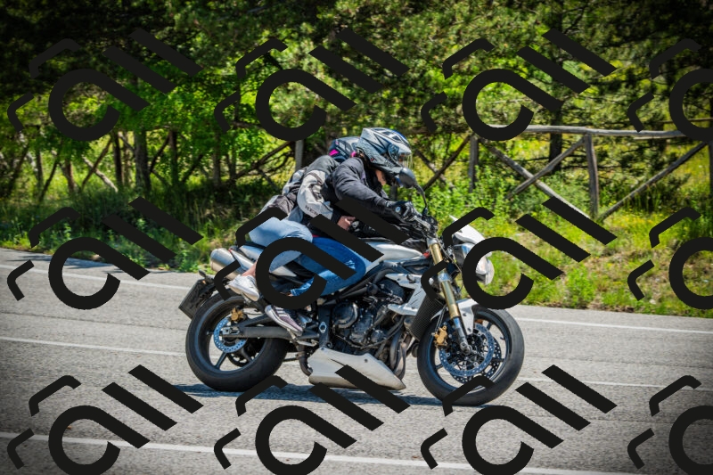 202506021141-DSC03850_c1_