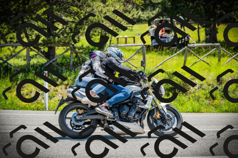 202506021141-DSC03851_c1_