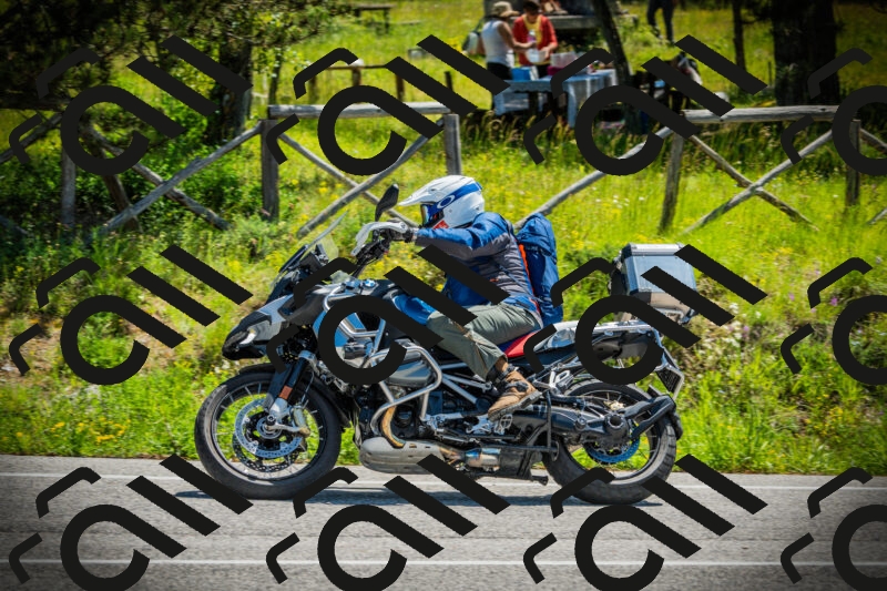 202506021141-DSC03852_c1_