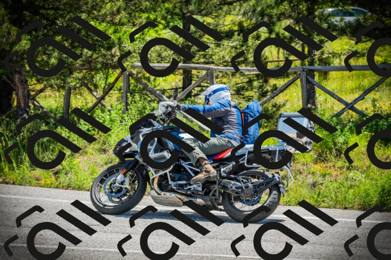 202506021141-DSC03853_c1_