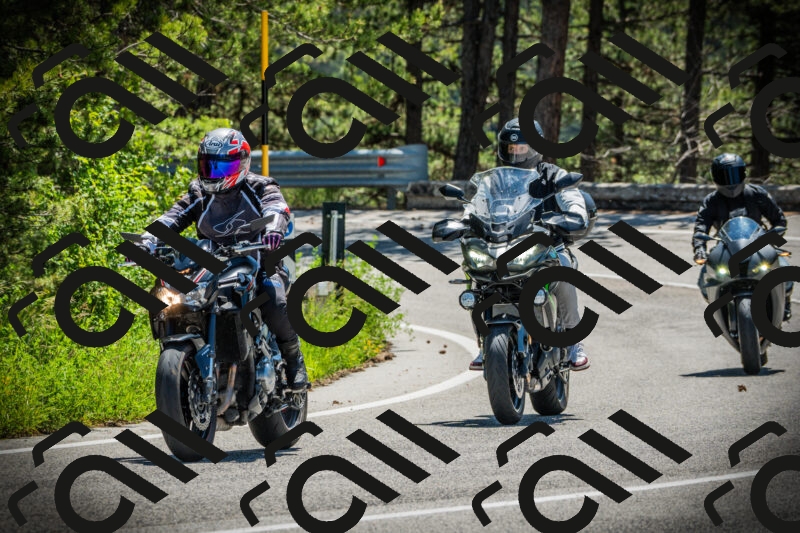 202506021141-DSC03854_c1_