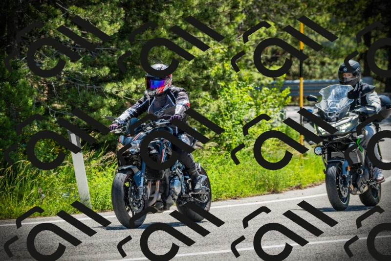 202506021141-DSC03855_c1_