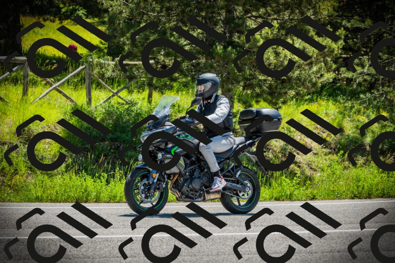 202506021141-DSC03858_c1_