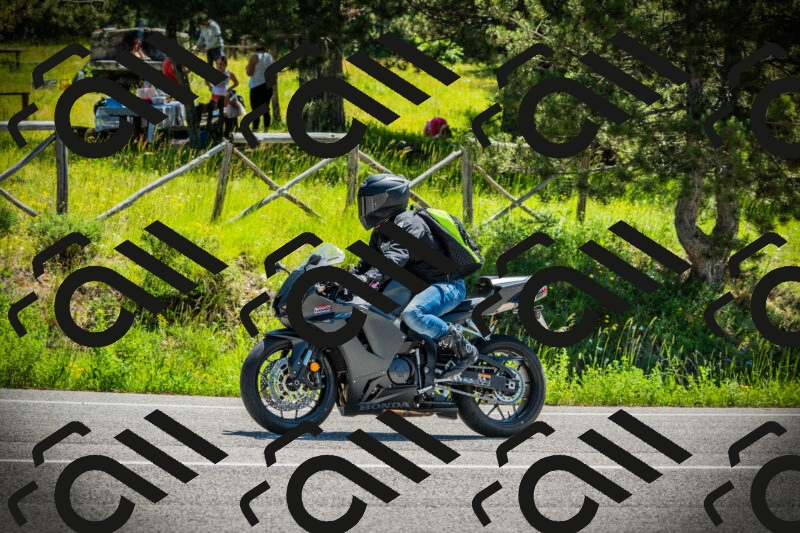 202506021141-DSC03859_c1_