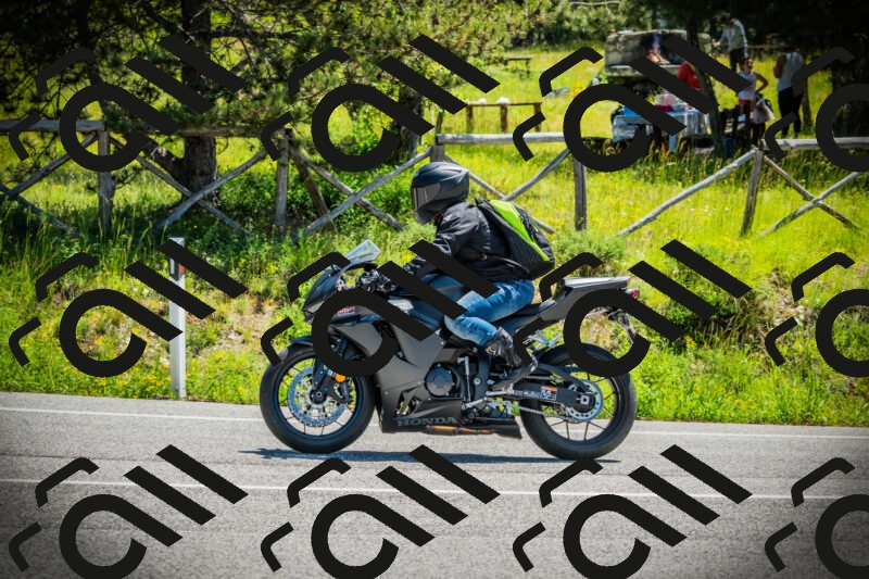 202506021141-DSC03860_c1_