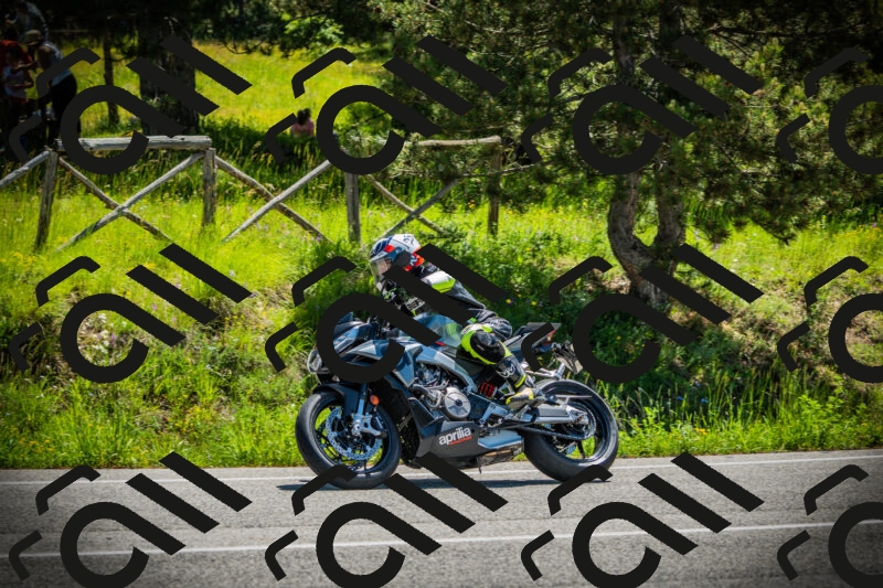 202506021142-DSC03863_c1_