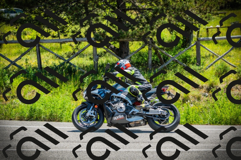 202506021142-DSC03864_c1_