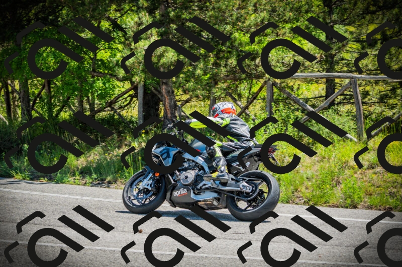 202506021142-DSC03865_c1_