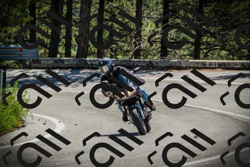 202506021142-DSC03866_c1_