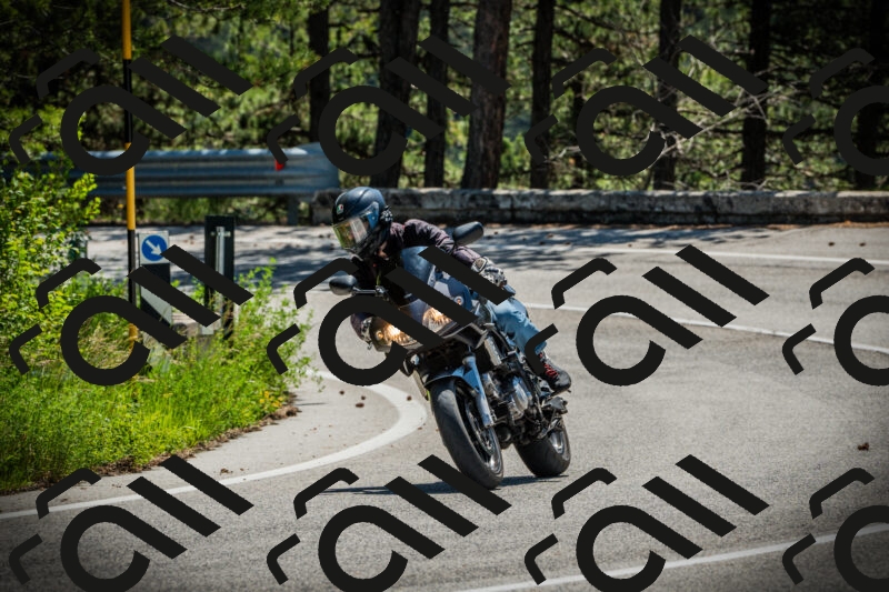 202506021142-DSC03867_c1_