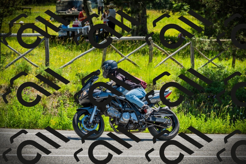 202506021142-DSC03868_c1_