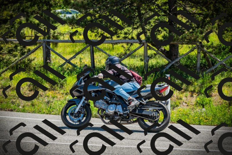 202506021142-DSC03869_c1_