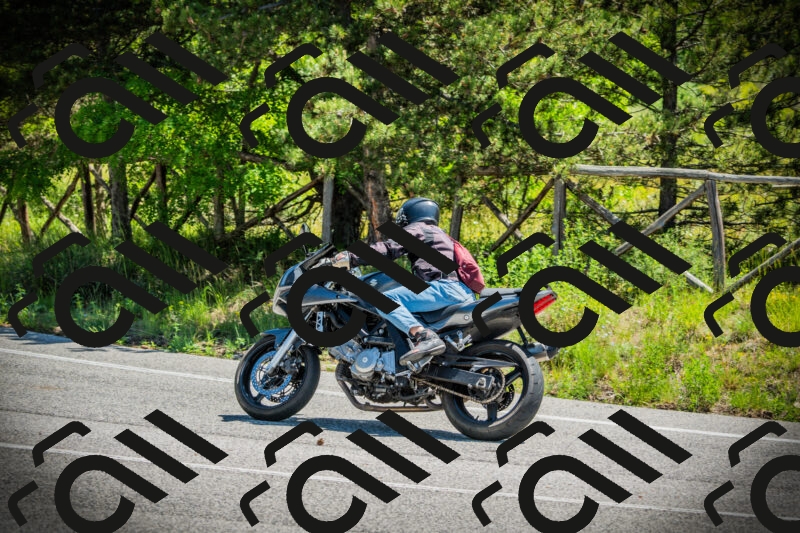 202506021142-DSC03870_c1_