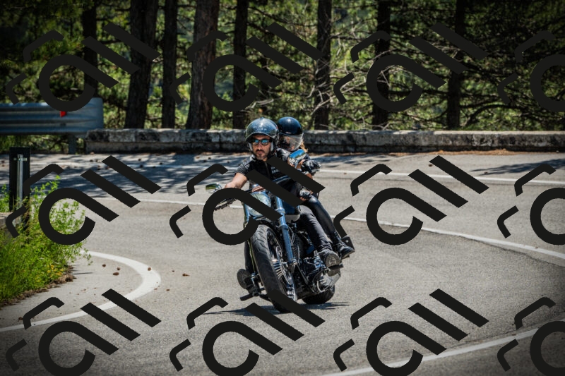 202506021142-DSC03872_c1_