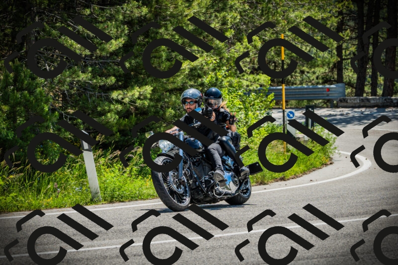 202506021142-DSC03873_c1_